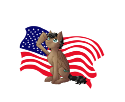 Size: 987x810 | Tagged: safe, artist:0silverstardust0, oc, oc only, earth pony, pony, flag, male, simple background, sitting, solo, transparent background, united states