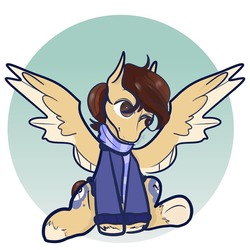 Size: 1080x1080 | Tagged: safe, artist:incapacitatedvixen, oc, oc only, oc:midnight mystery, pegasus, pony, amino, both cutie marks, clothed ponies, clothes, colt, male, one eye closed, sitting, smiling, solo, spread wings, wings, wink