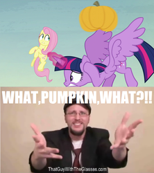 Size: 637x716 | Tagged: safe, edit, edited screencap, screencap, fluttershy, twilight sparkle, alicorn, human, g4, the hooffields and mccolts, adventures of sonic the hedgehog, irl, irl human, meme, nostalgia critic, photo, pumpkin, reaction, twilight sparkle (alicorn), what pumpkin?