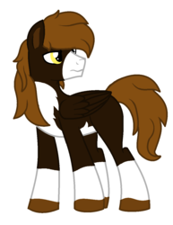 Size: 912x1179 | Tagged: safe, artist:piñita, oc, oc:punish mittet, pegasus, pony, coat markings, pale belly, pinto, simple background, socks (coat markings), two toned coat, vector, white background