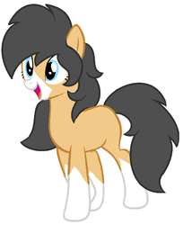 Size: 836x1027 | Tagged: safe, artist:piñita, oc, oc only, oc:zarza zarevna, earth pony, pony, bald face, blaze (coat marking), body markings, coat markings, facial markings, simple background, socks (coat markings), two toned coat, vector, white background