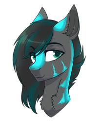 Size: 934x1148 | Tagged: safe, artist:lazycloud, oc, oc only, oc:cheshire, pony, bust, male, portrait, simple background, solo, stallion, transparent background