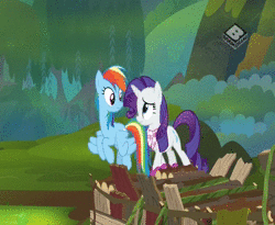 Size: 704x576 | Tagged: safe, screencap, rainbow dash, rarity, g4, the end in friend, animated, boomerang (tv channel), boots, clothes, female, flying, glitter boots, scarf, shoes, sound, swamp, webm