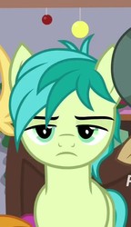 Size: 492x853 | Tagged: safe, screencap, sandbar, earth pony, pony, g4, the hearth's warming club, cropped, looking at you, male, sandbar is not amused