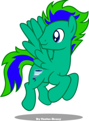 Size: 2942x3974 | Tagged: safe, artist:vector-brony, oc, oc only, oc:gale twister, pegasus, pony, high res, simple background, solo, transparent background