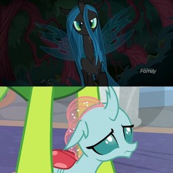 Size: 640x640 | Tagged: safe, screencap, ocellus, queen chrysalis, thorax, changedling, changeling, changeling queen, nymph, g4, school daze, the mean 6, cute, diaocelles, discovery family logo, duo focus, female, floppy ears, frown, glare, king thorax, lidded eyes, looking up, mother and daughter, sad, sadorable, scared, school of friendship, shy, size difference