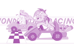 Size: 1280x836 | Tagged: safe, artist:dstears, fluttershy, rainbow dash, g4, animated at source, cute, duo, female, frown, go-kart, kart, racing, shyabetes, smiling, unamused, yay