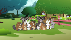 Size: 1920x1080 | Tagged: safe, screencap, beaver, mouse, rabbit, raccoon, rodent, squirrel, g4, magic duel, animal, audience, critters, fence, fluttershy's cottage