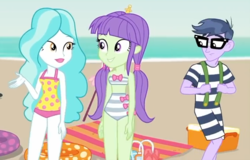 Size: 1057x676 | Tagged: safe, screencap, micro chips, paisley, starlight, equestria girls, g4, lost and found, my little pony equestria girls: better together, background human, beach, beach towel, clothes, cooler, cropped, female, glasses, male, retro, swimsuit