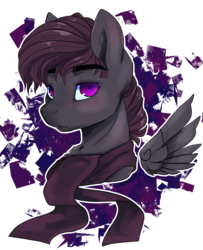 Size: 1128x1390 | Tagged: safe, artist:skylacuna, oc, oc only, pegasus, pony, bust, clothes, male, portrait, scarf, simple background, solo, stallion, transparent background