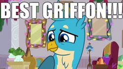 Size: 1280x720 | Tagged: safe, editor:useraccount, gallus, griffon, g4, best griffon, best pony, cute, excessive exclamation marks, gallabetes, image macro, male, meme