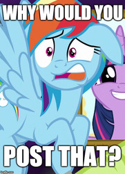 Size: 500x690 | Tagged: safe, edit, edited screencap, screencap, rainbow dash, twilight sparkle, g4, grannies gone wild, cropped, female, floppy ears, image macro, mare, meme, question, reaction image, solo focus, why would you post that