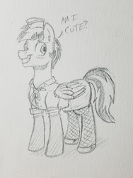 Size: 3024x4032 | Tagged: safe, artist:sketchy_fox, oc, oc only, oc:storm feather, pony, blushing, clothes, crossdressing, dialogue, male, solo, traditional art