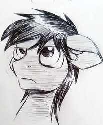 Size: 1539x1856 | Tagged: safe, artist:smirk, oc, earth pony, pony, bust, looking up, monochrome, simple background, sketch, traditional art