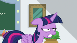 Size: 1280x720 | Tagged: safe, screencap, rarity, twilight sparkle, alicorn, pony, friendship university, g4, season 8, angry, butt, female, gritted teeth, mare, offscreen character, solo focus, teeth, twilight sparkle (alicorn), twilight sparkle is not amused, unamused