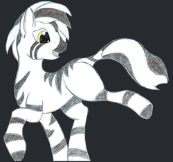 Size: 450x422 | Tagged: safe, artist:curious, oc, oc only, pony, zebra, black background, female, mare, simple background, solo, zebra oc
