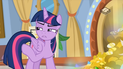 Size: 850x475 | Tagged: safe, screencap, twilight sparkle, alicorn, pony, friendship university, g4, bits, boomerang (tv channel), curtains, gold, pointing, stare, twilight sparkle (alicorn), youtube link
