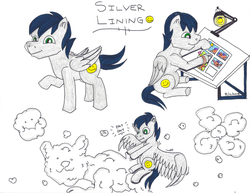Size: 2189x1691 | Tagged: safe, artist:jamestkelley, oc, oc only, oc:silver lining, cat, pegasus, pony, cartoonist, cloud, cloud sculpting, drawing, flower, male, smiley face, smiling, solo, stallion