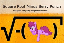 Size: 612x408 | Tagged: safe, berry punch, berryshine, earth pony, pony, g4, alcohol, beer, demotivator, hangover, math, meme, solo, square root