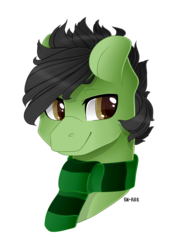 Size: 1024x1448 | Tagged: safe, artist:sk-ree, oc, oc only, oc:roll film, pony, bust, clothes, male, portrait, scarf, simple background, solo, stallion, transparent background