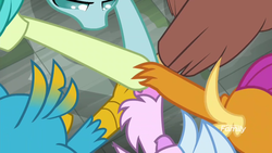 Size: 1366x768 | Tagged: safe, screencap, gallus, ocellus, sandbar, silverstream, smolder, yona, classical hippogriff, hippogriff, g4, my little pony: friendship is magic, school daze, six hands together, student six