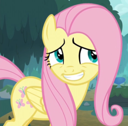 Size: 927x915 | Tagged: safe, screencap, fluttershy, pegasus, pony, g4, yakity-sax, cropped, female, grin, mare, smiling, solo