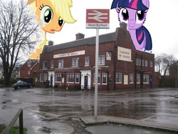 Size: 640x480 | Tagged: safe, artist:hereward, applejack, twilight sparkle, pony, g4, byfleet, giant ponies in real life, highrise ponies, irl, macro, photo, photoshop, ponies in real life, united kingdom