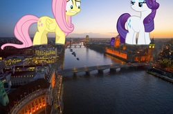 Size: 1890x1249 | Tagged: safe, artist:hereward, fluttershy, rarity, pegasus, pony, unicorn, g4, giant ponies in real life, london, macro, united kingdom, worried