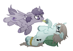 Size: 1836x1284 | Tagged: safe, artist:flipwix, oc, oc:dark symphony, oc:night-byte, alicorn, bat pony, bat pony alicorn, pony, unicorn, alicorn oc, bat pony oc, bondage, crying, curved horn, female, front hoof tickling, hoof tickling, horn, laughing, makeup, male, mare, mascara, mouth hold, oc x oc, pillow, rope, rope bondage, running makeup, shipping, simple background, stallion, tears of laughter, tickle torture, tickling, transparent background, underhoof, unshorn fetlocks