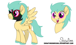Size: 1024x615 | Tagged: safe, artist:showtimeandcoal, oc, oc only, oc:caliente, pegasus, pony, brony, colt, commission, digital art, head shot, luchador, luchador mask, male, movie accurate, ponysona, reference sheet, simple background, solo, stallion, style, transparent background, vector, ych example, ych result