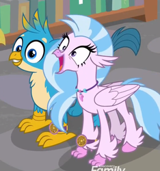 Size: 594x634 | Tagged: safe, screencap, gallus, silverstream, classical hippogriff, griffon, hippogriff, a matter of principals, g4, bookshelf, cute, diastreamies, duo, female, gallabetes, male, open mouth, varying degrees of want
