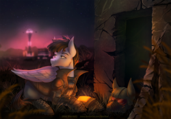 Size: 1500x1039 | Tagged: safe, artist:limreiart, oc, oc only, oc:silver whistle, pegasus, pony, fallout equestria, city, clothes, grass, helmet, male, ncr, ncr ranger, pipbuck, solo