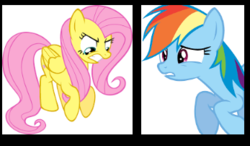 Size: 347x202 | Tagged: safe, fluttershy, rainbow dash, g4, angry, google images