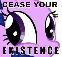 Size: 925x859 | Tagged: safe, twilight sparkle, oc, oc:wrong neighborhood repost sparkle, g4, cease your existence, image macro, meme, why is this here?, wrong neighborhood, you reposted in the wrong neighborhood