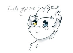 Size: 567x411 | Tagged: safe, artist:tavifly, oc, pony, blushing, cyrillic, heterochromia, russian, russian meme, sketch, ukraine