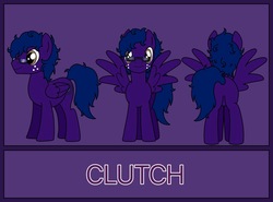 Size: 1150x850 | Tagged: safe, artist:linedraweer, oc, oc only, oc:clutch, pegasus, pony, commission, glasses, male, nerd, reference sheet, solo, stallion