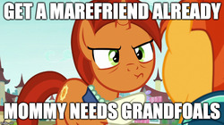 Size: 888x499 | Tagged: safe, edit, edited screencap, screencap, stellar flare, sunburst, g4, the parent map, duo, image macro, meme, mothers gonna mother, subtle as a train wreck, that pony sure does want grandfoals