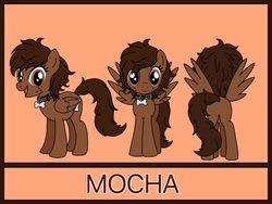 Size: 1129x850 | Tagged: safe, artist:linedraweer, oc, oc only, oc:mocha, pegasus, pony, collar, commission, female, mare, reference sheet, solo
