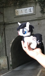 Size: 1113x1865 | Tagged: safe, artist:schwarz, oc, oc:schwarz, irl, photo, plushie, taiwan