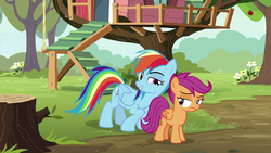 Size: 1280x720 | Tagged: safe, screencap, rainbow dash, scootaloo, pegasus, pony, g4, the washouts (episode), duo, female, filly, foal, mare, tree, unamused