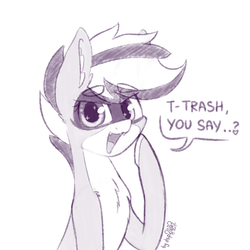 Size: 1024x1024 | Tagged: safe, artist:dsp2003, oc, oc:bandy cyoot, earth pony, original species, pony, raccoon pony, cute, female, looking at you, mare, monochrome, open mouth, simple background, single panel, sketch, white background
