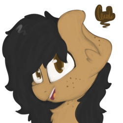 Size: 3000x3000 | Tagged: safe, artist:claudearts, oc, oc only, oc:sketcher, pony, bust, freckles, happy, high res, signature, simple background, solo, transparent background