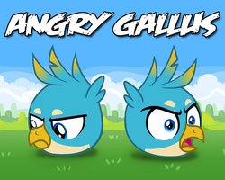 Size: 700x560 | Tagged: safe, artist:uotapo, gallus, griffon, g4, season 8, the hearth's warming club, angry, angry birds, birb, cute, duality, gallabetes, parody, self paradox