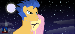 Size: 1228x562 | Tagged: safe, artist:ilovegreendeathsalot, edit, flash sentry, fluttershy, g4, female, flutterflash, male, shipping, straight