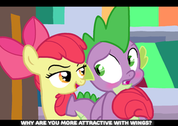 Size: 1440x1020 | Tagged: artist needed, safe, apple bloom, spike, dragon, g4, blushing, female, male, seduction, ship:spikebloom, shipping, straight, tail seduce, winged spike, wings
