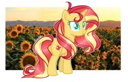 Size: 1528x976 | Tagged: safe, artist:gunter-the-pony, sunset shimmer, pony, unicorn, g4, alternate hairstyle, base used, female, flower, mare, real life background, solo, sunflower, transparent background, white outline