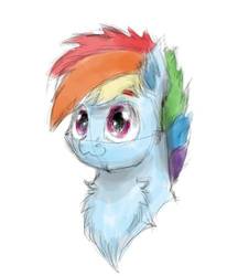 Size: 412x499 | Tagged: safe, artist:lw9510, rainbow dash, pony, g4, :3, bust, chest fluff, eyebrows, female, portrait, simple background, solo, white background