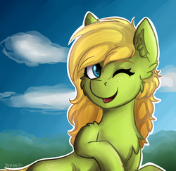 Size: 728x709 | Tagged: safe, artist:deraniel, oc, oc only, earth pony, pony, cute, one eye closed, present, smiling, solo, wink