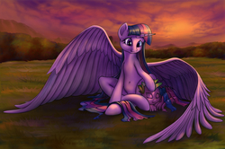 Size: 3211x2134 | Tagged: safe, artist:stratodraw, spike, twilight sparkle, alicorn, dragon, pony, g4, belly button, female, grass field, high res, large wings, male, mare, scenery, spikelove, sunset, twilight sparkle (alicorn), wings