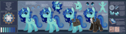 Size: 4000x1098 | Tagged: safe, artist:solar-paragon, oc, oc only, unnamed oc, pony, unicorn, female, ice craft, notebook, reference sheet, runes